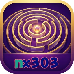 nx303